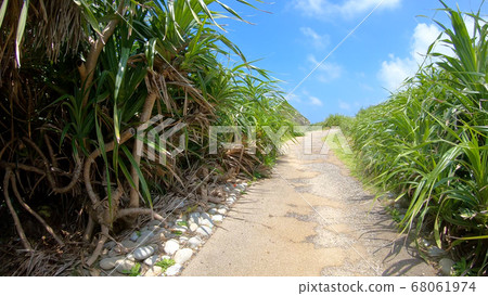 Honohoshi Coast of Amami Oshima 68061974