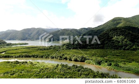 Aerial view of the Kuroshio Forest mangrove in Amami Oshima 68063160
