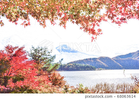 山梨縣 川口湖和富士山的秋葉 彩色鉛筆 插圖素材 圖庫