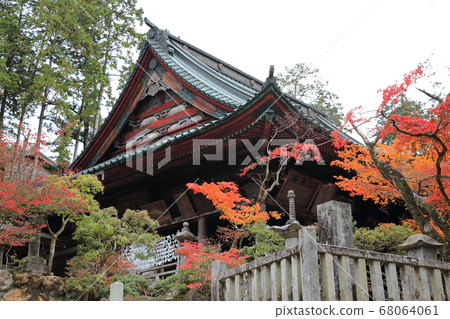 Tanigumiyama Kegonji, 135 in autumn colors (Tanigumi, Ibigawa-cho, Ibi-gun, Gifu Prefecture) 68064061