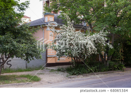 Beautiful street of the old city. 68065384