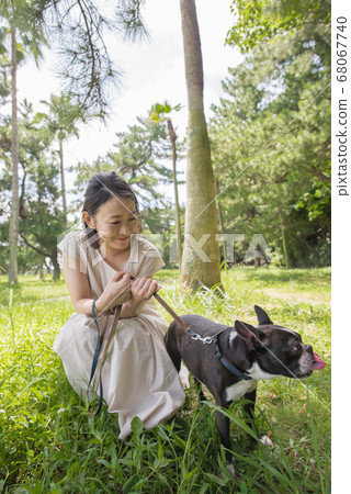 波士頓梗犬和她的主人一起戶外散步 68067740