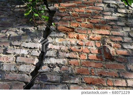 Old brick fence and ivy 68071229