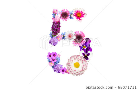Number 5 made of flowers (flower number, flower font) Number 5 made of flowers (flower number, flower font) 68071711