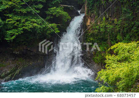 (Shizuoka Prefecture) Kawazu Nanadaru/Otaki High-speed shutters Summer 68073457