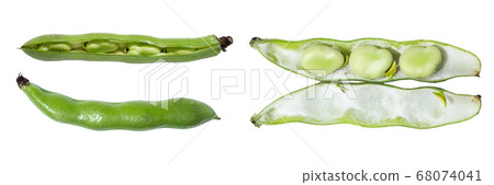 美味蠶豆（也稱為綠豆，堅果，豆類，大豆，小扁豆，學名：Vicia 68074041