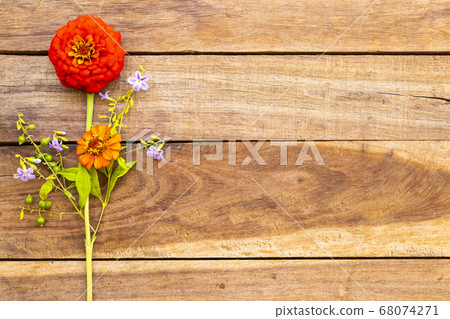 colorful orange flowers zinnia elegans with purple flowers arrangement flat lay postcard style colorful orange flowers zinnia elegans with purple flowers arrangement flat lay postcard style 68074271