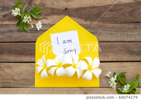 i am sorry message card handwriting in yellow envelope with flowers frangipani arrangement flat lay postcard style i am sorry message card handwriting in yellow envelope with flowers frangipani arrangement flat lay postcard style 68074279