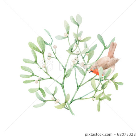 Beautiful image with watercolor mistletoe plant and robin bird. Stock illustraqtion. Beautiful image with watercolor mistletoe plant and robin bird. Stock illustraqtion. 68075328