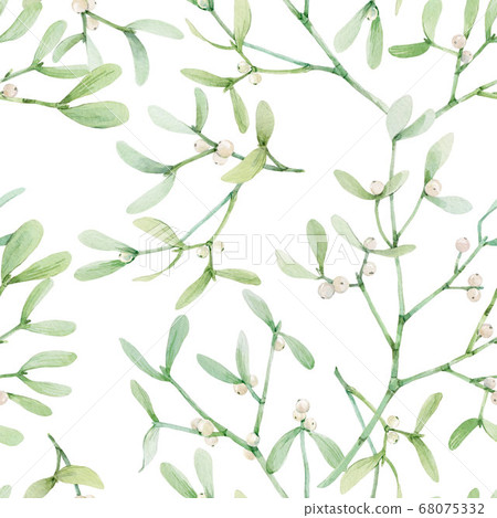 Beautiful seamless pattern with watercolor mistletoe plant leaves. Stock illustraqtion. 68075332
