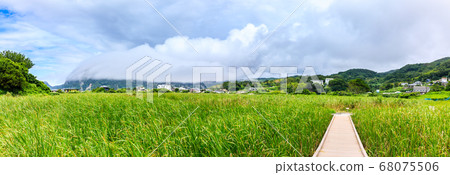 Panorama of fresh green Kurosaki Nagata Wetland Nature Park [Nagasaki City] 68075506