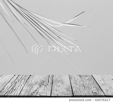 Abstract gray shadow background of palm leaves 68076827