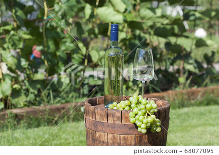 White wine on wooden vintage barrel  68077095