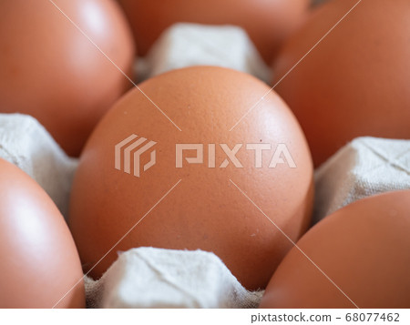 Close up of freshly laid raw eggs. Close up of freshly laid raw eggs. 68077462