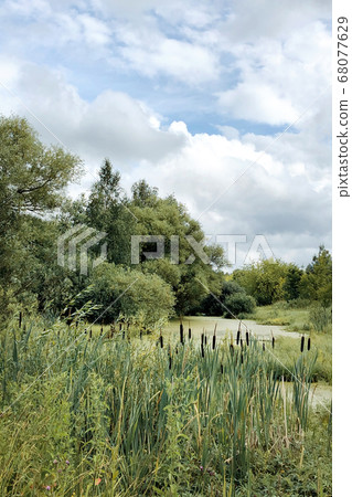 summer day in the country away from the city on a 68077629