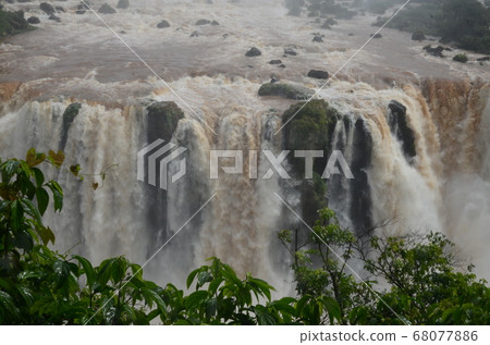 Iguazu Falls-Brazil side 68077886