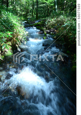 信州流 信州流 68077889