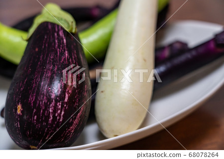All kinds of eggplant 68078264