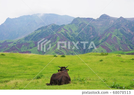 熊本縣麻生山黑牛肉 68078513