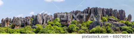 Panoramic view of Shilin limestone pinnacles Stone Forest - Yunnan, China 68079054
