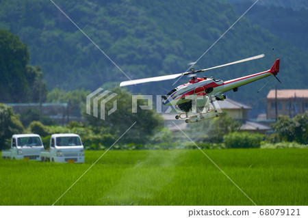 Rice farming. Disinfection work with an agricultural unmanned helicopter. 68079121