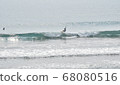 Kochi surfers 68080516