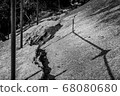 rock 68080680