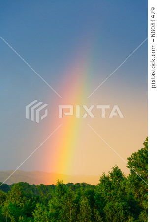 Bright rainbow in the sky 68081429