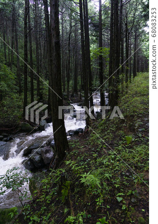 Upstream of the river flooded by heavy rain Upstream of the river flooded by heavy rain 68083253