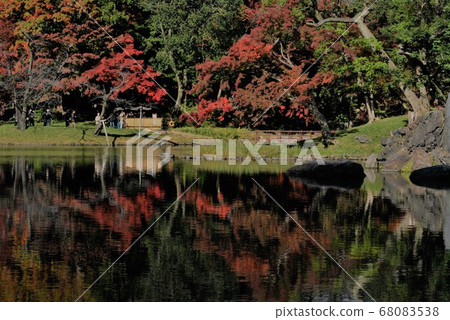 小石川後樂園淺水花園和秋葉 68083538