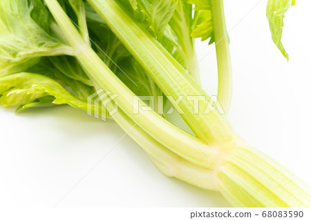 芹菜白色背景 68083590