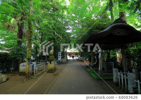 Kodaira Shing Mingu Kodaira Shing Mingu 68083626