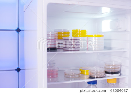 Petri dishes with samples of microorganisms in a 68084087