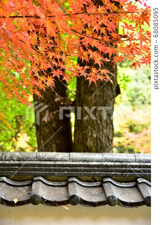 Autumn leaves roof tile 68085095