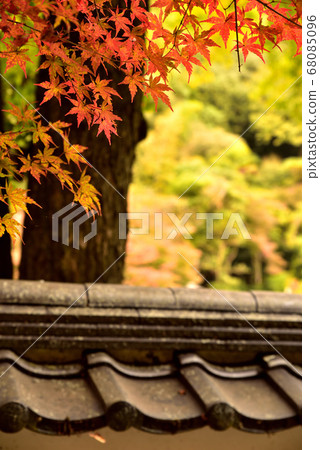 Autumn leaves roof tile 68085096