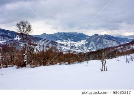 cloudy winter morning in mountains. tree on snow 68085217
