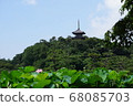 Lotus bloomed Sankeien 68085703