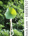 Lotus shower 68085707