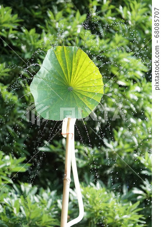 Lotus shower Lotus shower 68085707
