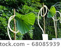 Lotus shower 68085939