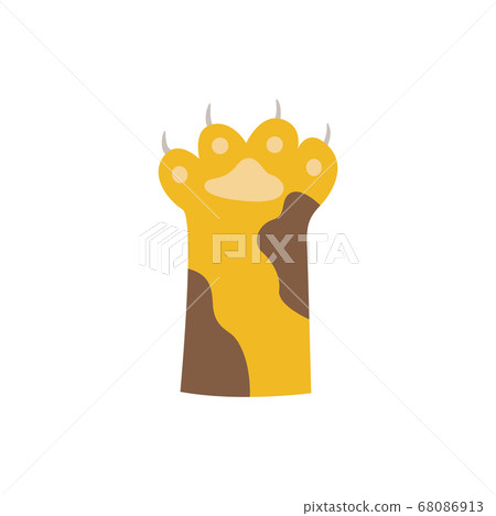 Cartoon cat paw with little claws isolated on white background 68086913