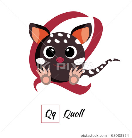 English animal alphabet letter Q in vector style - Stock Illustration  [68088554] - PIXTA