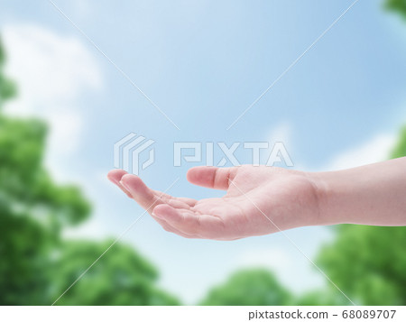 你的手掌 68089707