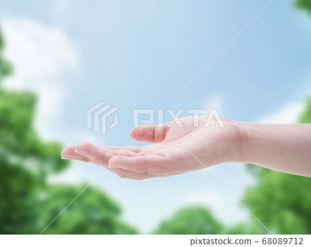 The palm of your hand 68089712