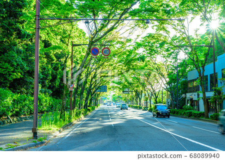 國道旁的新鮮綠色,福岡市中央區大the公園五國神社旁 國道旁的新鮮綠色,福岡市中央區大the公園五國神社旁 68089940