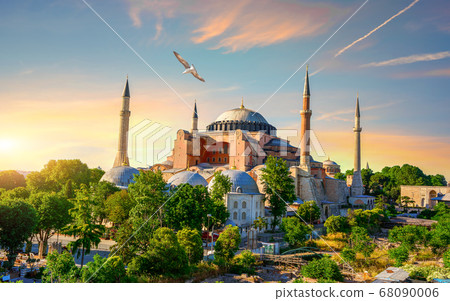 Bird in Istanbul Bird in Istanbul 68090006