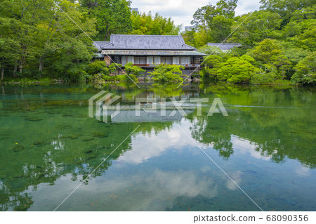Obama Pond in Rakujuen [Mishima City, Shizuoka Prefecture] 68090356