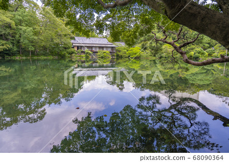 Obama Pond in Rakujuen (near Genbei River and Kakita River) [Mishima City, Shizuoka Prefecture] 68090364