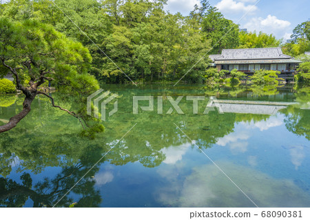 Obama Pond in Rakujuen (near Genbei River and Kakita River) [Mishima City, Shizuoka Prefecture] 68090381