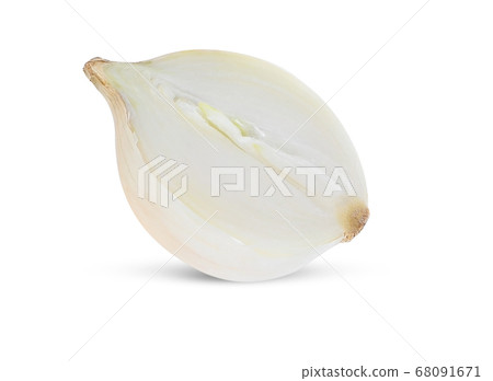 white onion on white background. 68091671
